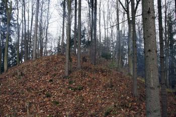  ( © Iva Spurná 15.11.2008)