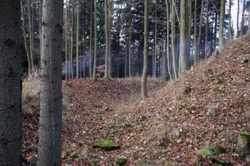  ( © Iva Spurná 15.11.2008)