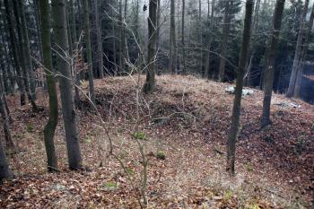  ( © Iva Spurná 15.11.2008)
