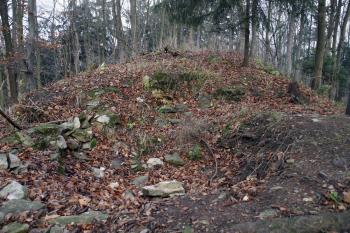  ( © Iva Spurná 15.11.2008)