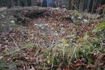  ( © Iva Spurná 15.11.2008)