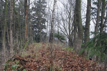  ( © Iva Spurná 15.11.2008)