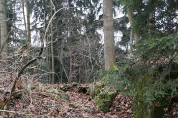  ( © Iva Spurná 15.11.2008)