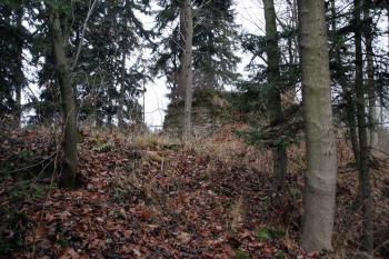  ( © Iva Spurná 15.11.2008)