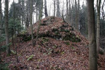  ( © Iva Spurná 15.11.2008)