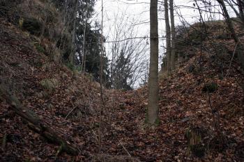  ( © Iva Spurná 15.11.2008)