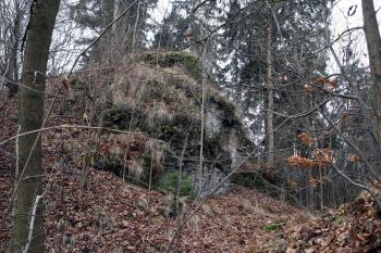  ( © Iva Spurná 15.11.2008)