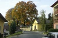 židovský hřbitov