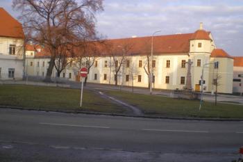  (© Milan Náplava, 01/2008)