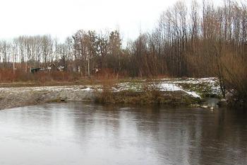 pohled z moravského (frýdlantského) břehu řeky Ostravice na slezskou (prženskou) stranu s vtokem vody do mlýnského náhonu ( © Jan P. Štěpánek 12/2007)