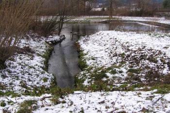 počátek náhonu nad prženským splavem ( © Jan P. Štěpánek 12/2007)
