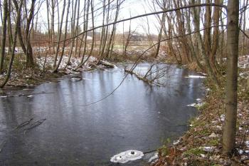 slepé rameno Ostravice nedaleko prženského splavu, nad počátkem náhonu ( © Jan P. Štěpánek 12/2007)