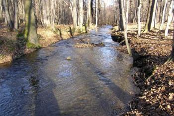 v části extravilánu Pržna jde náhon takřka souběžně s řekou Ostravicí ( © Jan P. Štěpánek 12/2007)