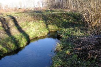 náhon hned po vybočení z řeky Ostravice zaúsťuje pod protipovodňovou hráz řeky ( © Jan P. Štěpánek 12/2007)