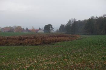 tvrziště od severovýchodu (© Rostislav Vondra, 12/2007)