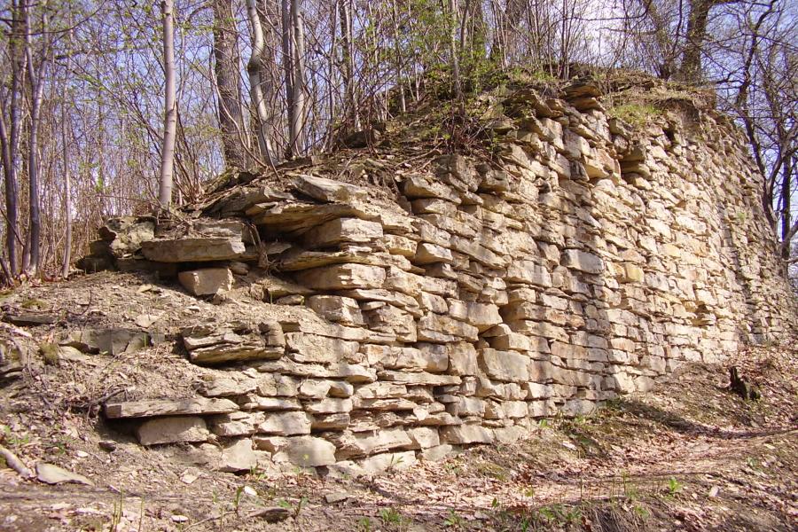Výrov