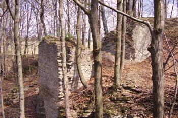  (© Jan Švejkar, 04/2006)