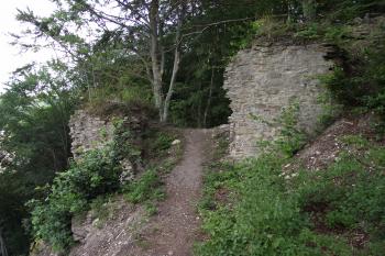  (© Michal Brůža, 07/2011)