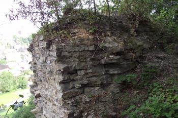  (© Michal Brůža, 07/2011)
