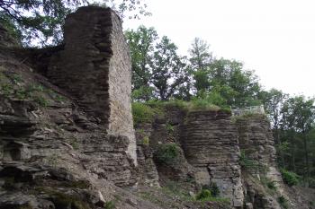  (© Michal Brůža, 07/2011)