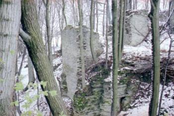 Fragmenty zdí hradu Výrova (2002© Vlky, Jirka Čížek)