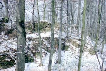 Hrad Výrov a příkop (2002© Vlky, Jirka Čížek)