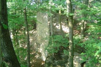 zbytky zdí na Výrově (© Dalibor Král, 7/2006)