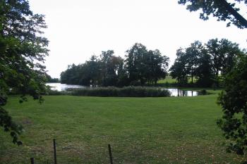 zám.rybník (© D Dohňanský, 09/2015)