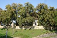 kostel Nejsvětější Trojice