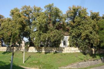 Kostel od jihu, foceno od severní parkánové zdi kouřimského opevnění přes silnici, která vede za obvodem hradeb ( © iV 14.9.2007)