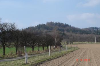 zřícenina hradu Bludov (© Vlastislav Mareček, 04/2011)