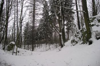 zřícenina hradu Bludov (© Vlastislav Mareček, 01/2016)