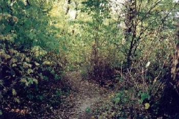 Bludov (2003 ©Radim Bystroň)