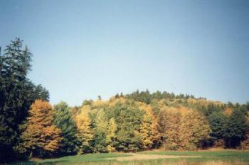 Bludov (2003 ©Radim Bystroň)