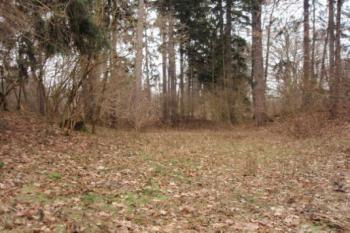 Průhled příkopem na západ od severu, vpravo val na západě, vlevo akropole (© Rostislav Vondra, 12/2007)