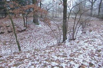  ( © Roman Řezáč 12/2007)
