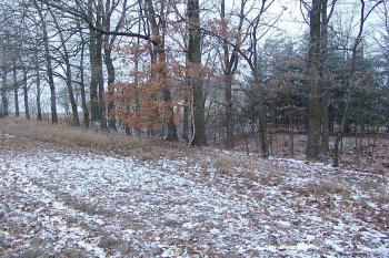  ( © Roman Řezáč 12/2007)