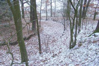  ( © Roman Řezáč 12/2007)