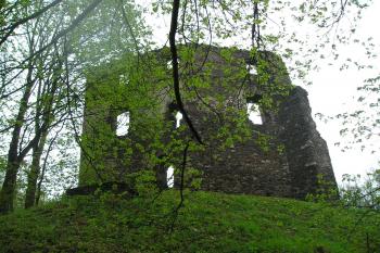 Z hradního příkopu (© M.Schichová, 05/2008)
