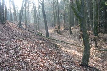 záp.příkop /od severu/ (© D Dohňanský, 01/2016)