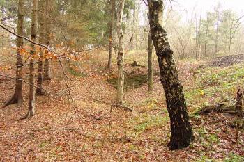  ( © Roman Řezáč 11/2006)