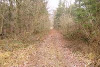 Krumvald, Grünwald