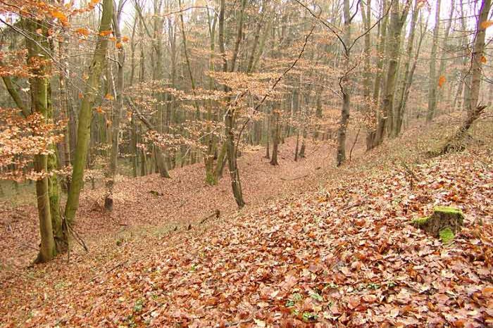 Krumvald, Grünwald