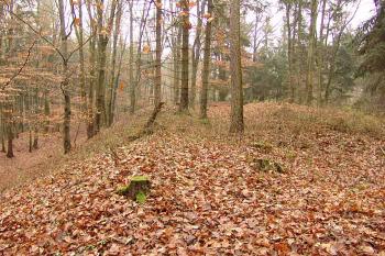  ( © Roman Řezáč 11/2006)
