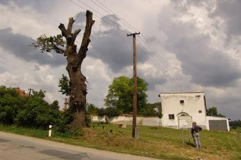  ( © Roman Řezáč 07/2006)