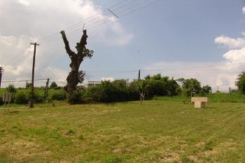  ( © Roman Řezáč 07/2006)