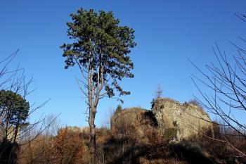 Pohled na hrad (© Luděk Vláčil, 01/2014)