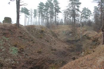 zřícenina hradu Cvilín (© Vlastislav Mareček, 03/2016)