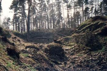 Cvilín (2000 ©Radim Bystroň)