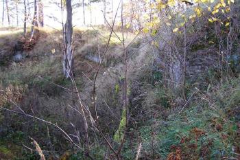 Pohled od sz na obezděnou část příkopu v jižním nároží (© Jan P. Štěpánek, 11/2006)